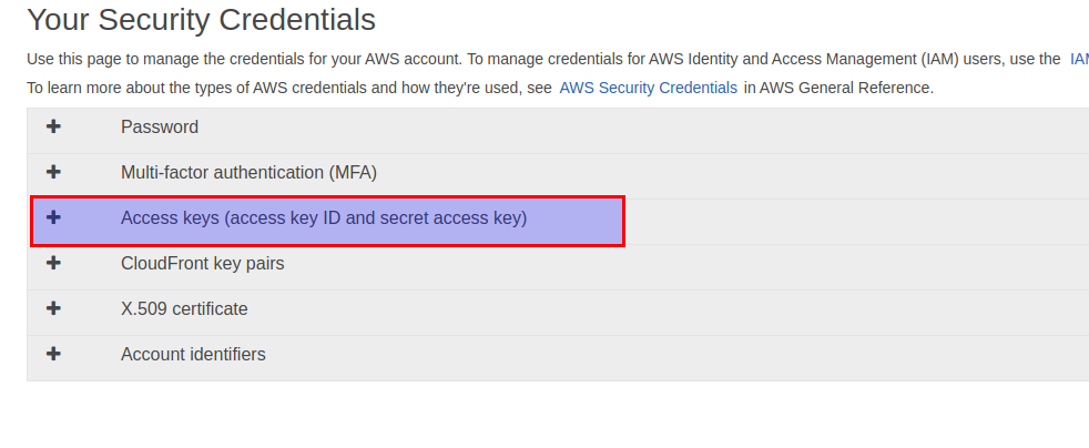 Screenshot of Your Security Credentials